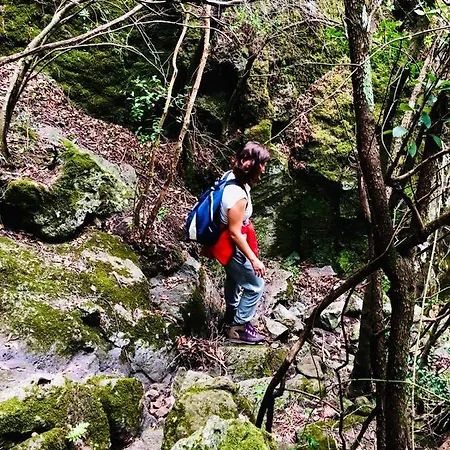 La Vecchia Posta 3* Calangianus