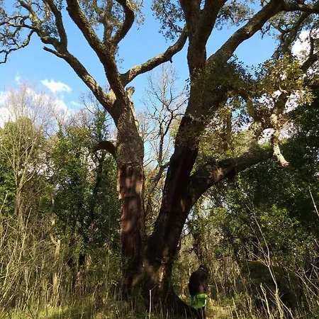 La Vecchia Posta Bed and Breakfast