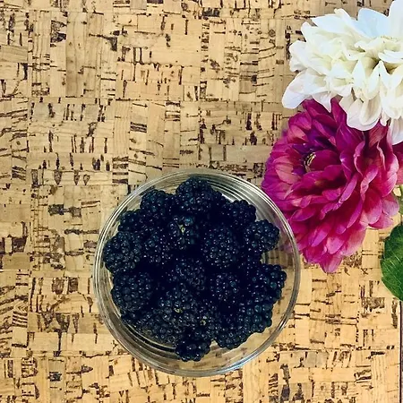 La Vecchia Posta Bed & Breakfast