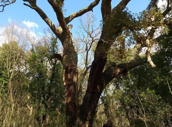 La Vecchia Posta Oda ve Kahvaltı