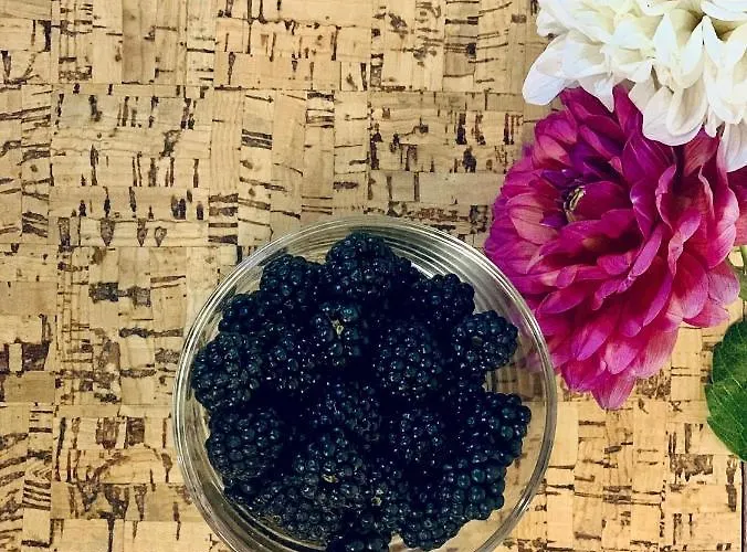 La Vecchia Posta Bed & Breakfast